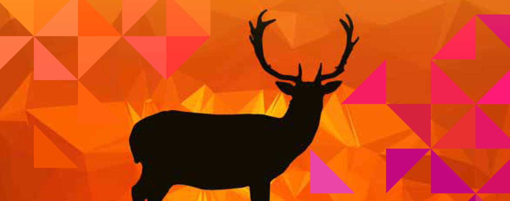 Zondagmiddagconcert Stem en Snaren op 14 juni